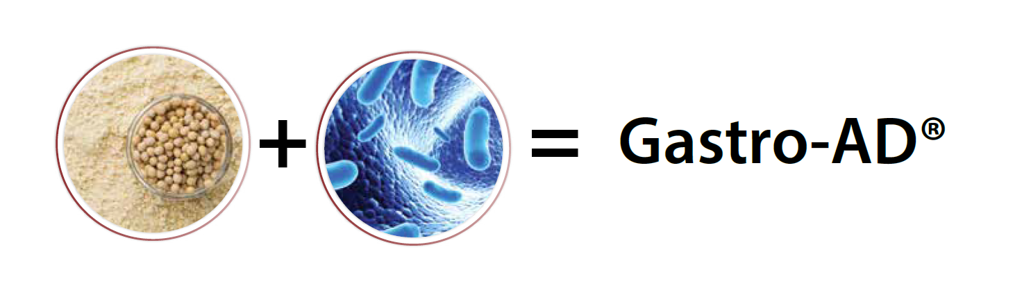 Gastro-AD